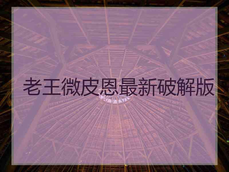 老王微皮恩最新破解版