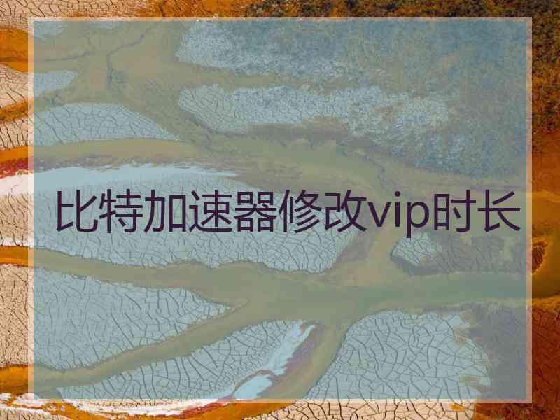 比特加速器修改vip时长